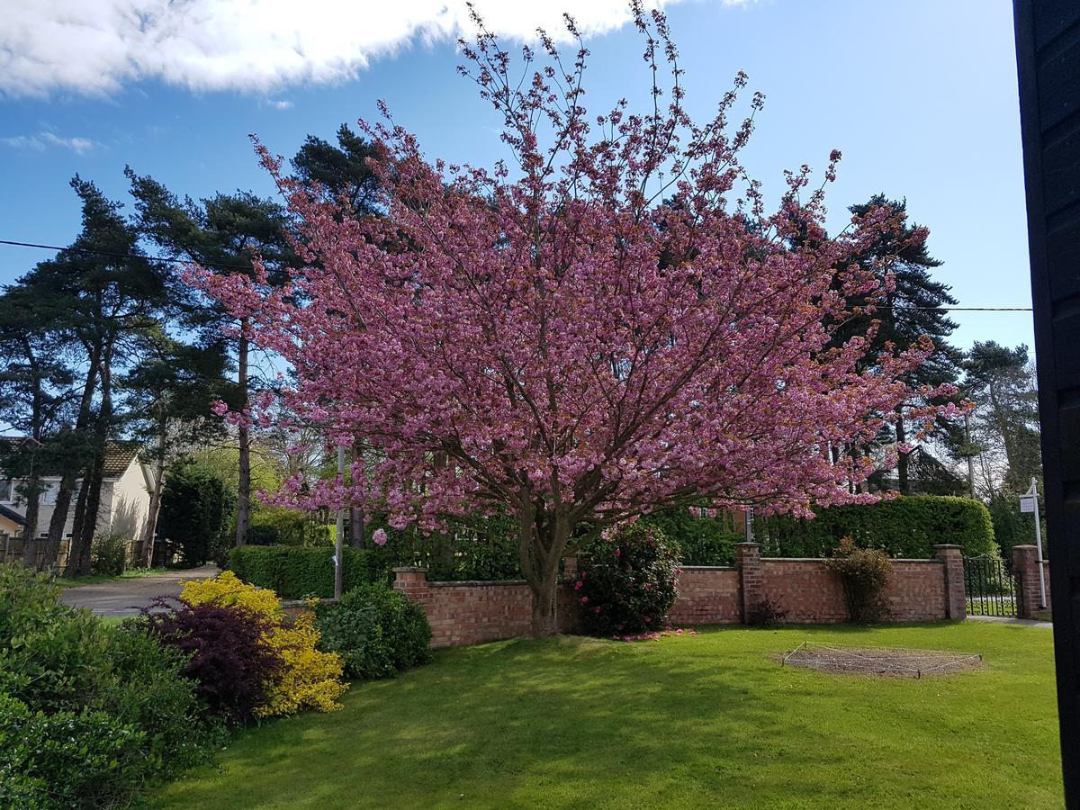 Leeward Bed & Breakfast South Walsham Bagian luar foto